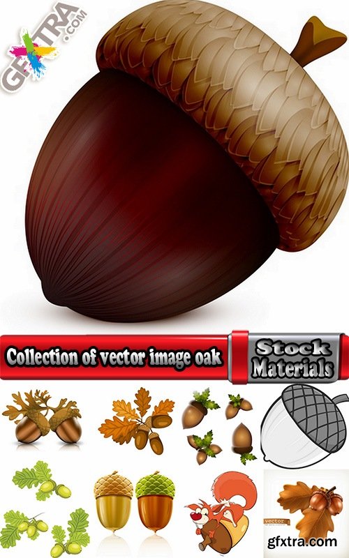 Collection of vector image oak acorn nut leaf 25 Eps