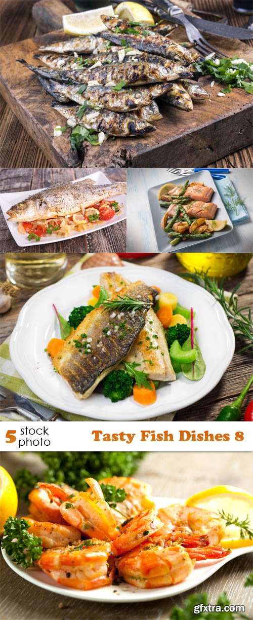 Photos - Tasty Fish Dishes 8