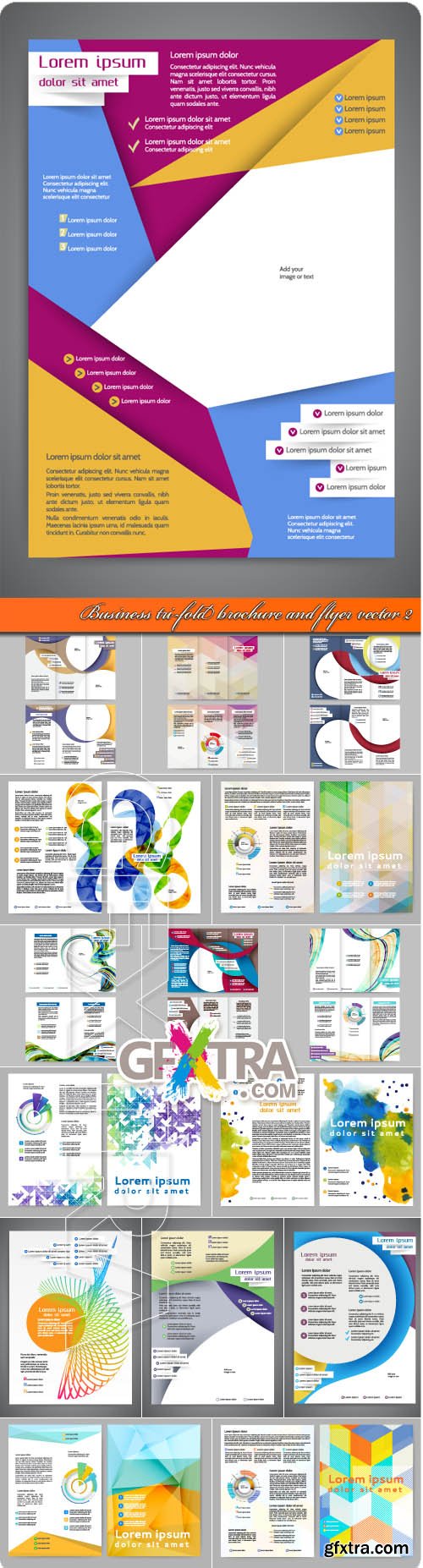 Business tri-fold brochure and flyer vector 2