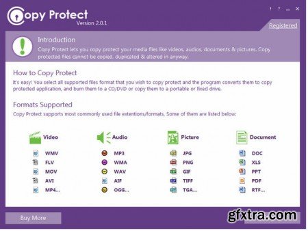 Newsoftwares Copy Protect v2.0.1 Portable
