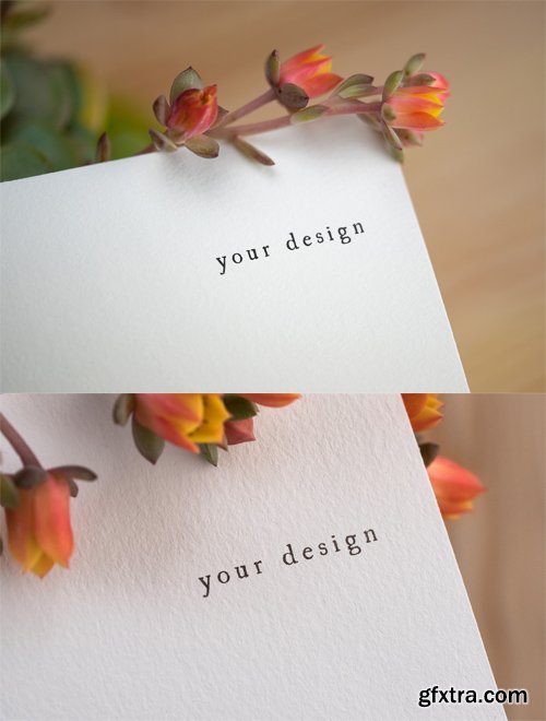 2 Logo Mock ups with Flowers