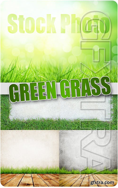 Green grass - UHQ Stock Photo