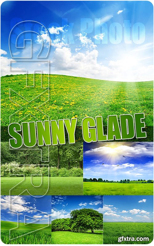 Sunny Glade - UHQ Stock Photo