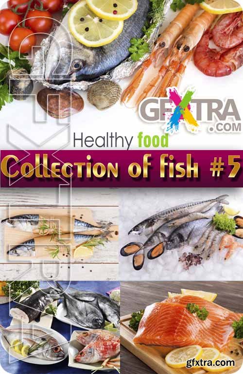 Food. Mega Collection. Fish #5 - Stock Photo