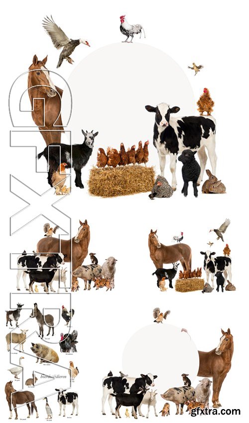 Stock Photos - Group Of Farm Animals