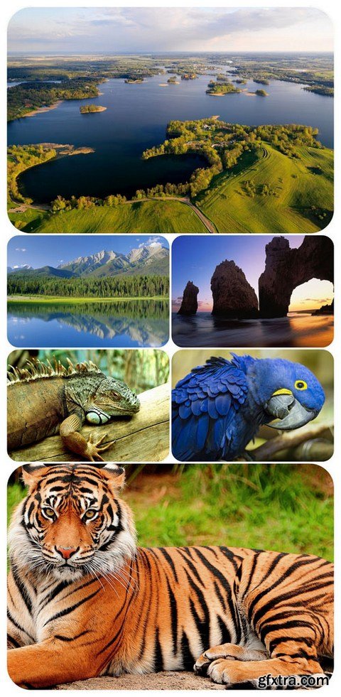 Wallpapers - Nature and animals 5
