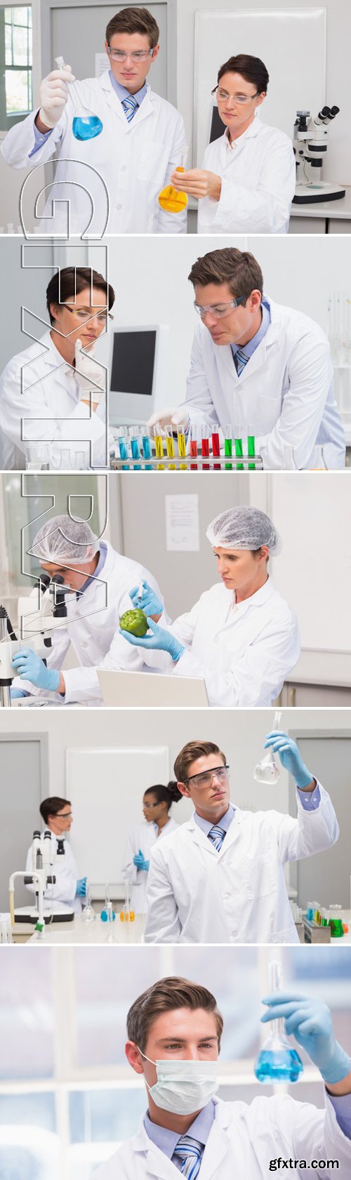 Stock Photos - Scientists working attentively with test tube in laboratory