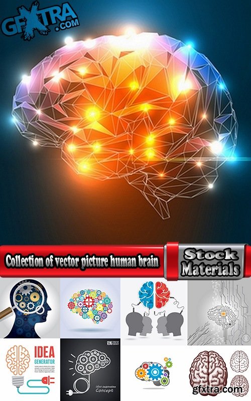 Collection of vector picture human brain neuron impulse 25 Eps
