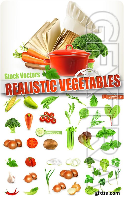 Realistic vegetables - Stock Vectors