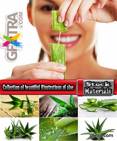 Collection of beautiful illustrations of aloe juice vitamin green stem 25 HQ Jpeg