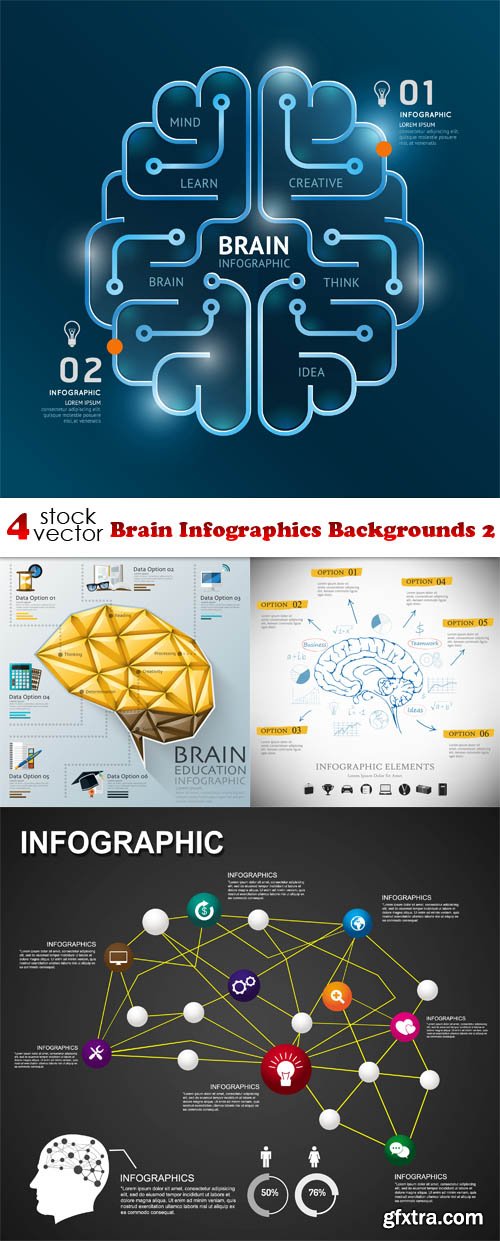 Vectors - Brain Infographics Backgrounds 2