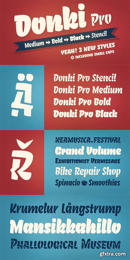 Donki Pro Font Family - 4 Fonts $109