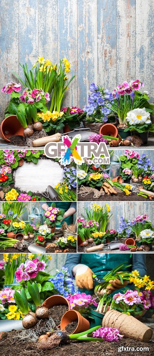 Stock Photo - Spring Gardening 3