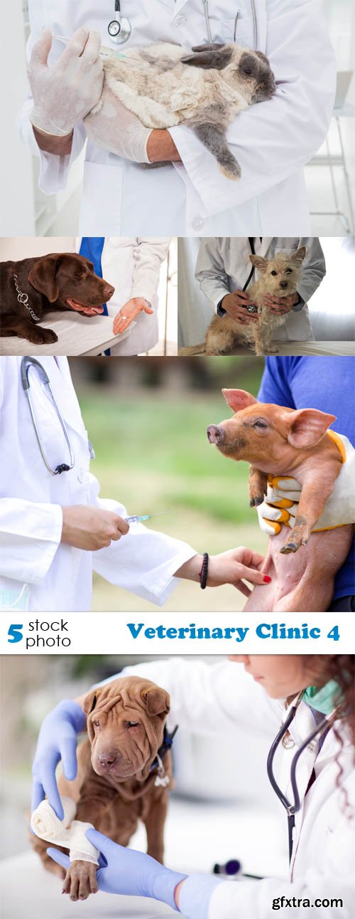 Photos - Veterinary Clinic 4