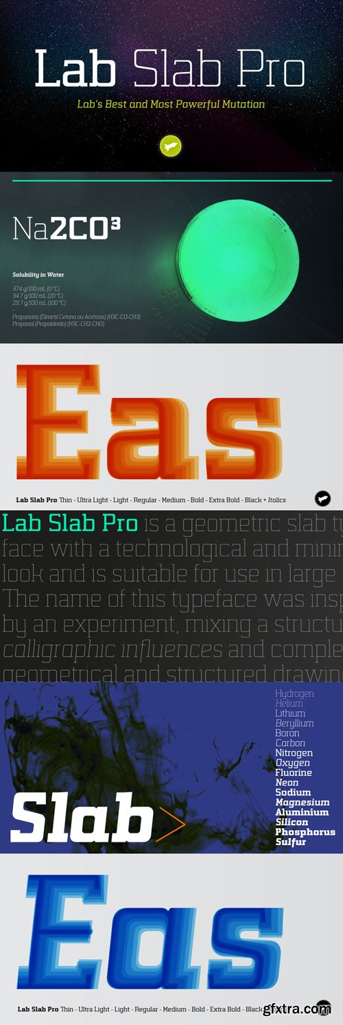 Lab Slab Pro Font Family $300