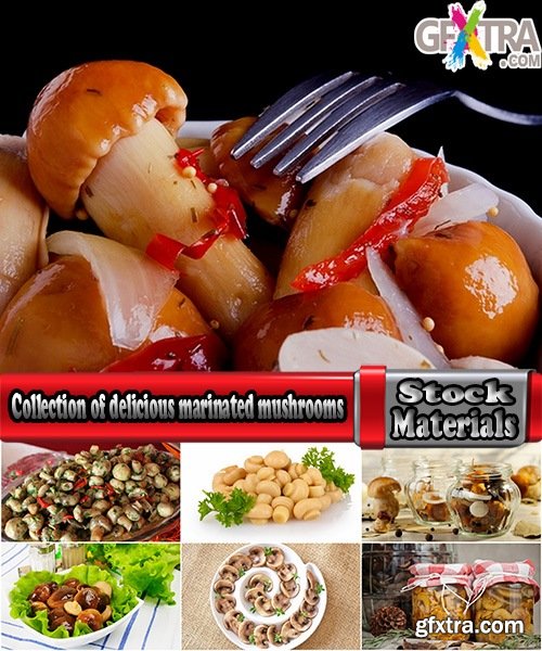 Collection of delicious marinated mushrooms Canned 25 HQ Jpeg