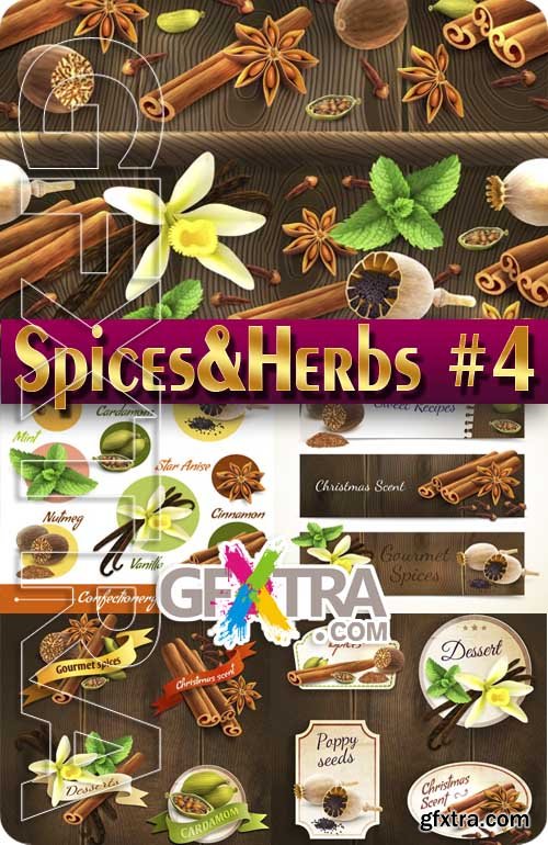 Spices and Herbs #4 - Stock Vector