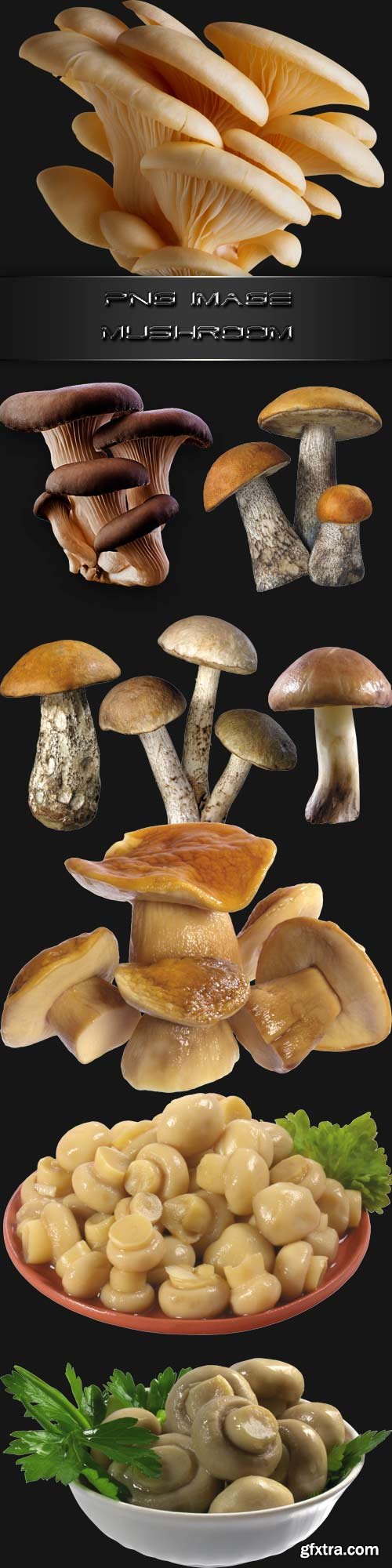 PNG clipart Mushroom