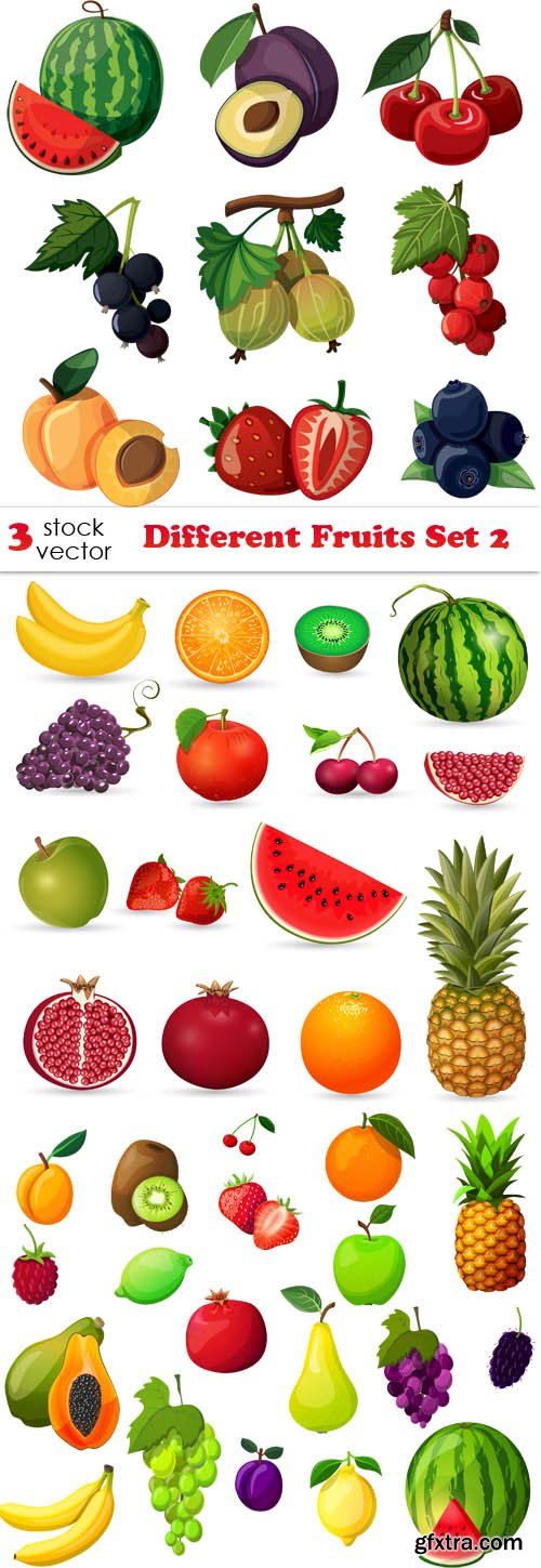 Vectors - Different Fruits Set 2