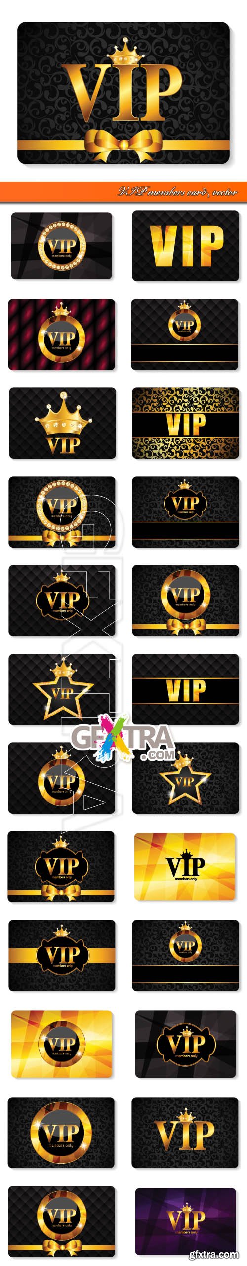 VIP members card vector