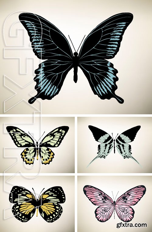 Stock Vectors - Butterfly. Vector illustration