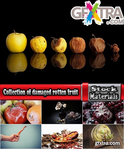 Collection of damaged rotten fruit and vegetable mildew 25 HQ Jpeg