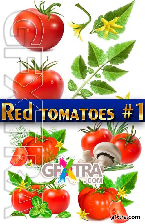 Ripe tomatoes #1 - Stock Vector