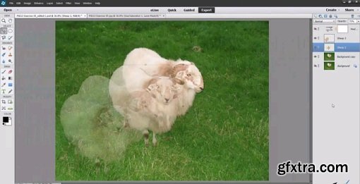 How to Create and Use Layers in Photoshop Elements 13