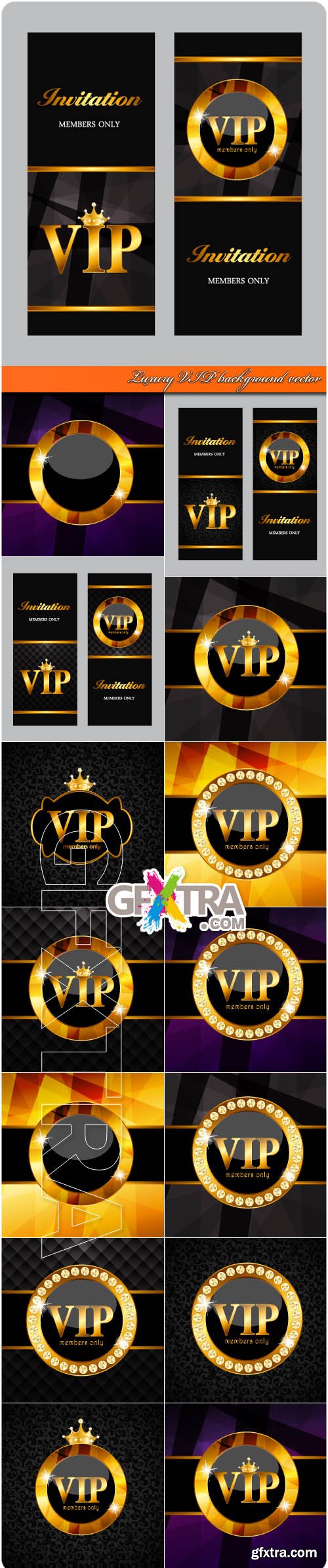 Luxury VIP background vector