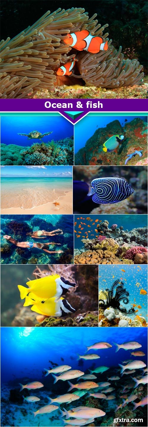Ocean & fish 10x JPEG