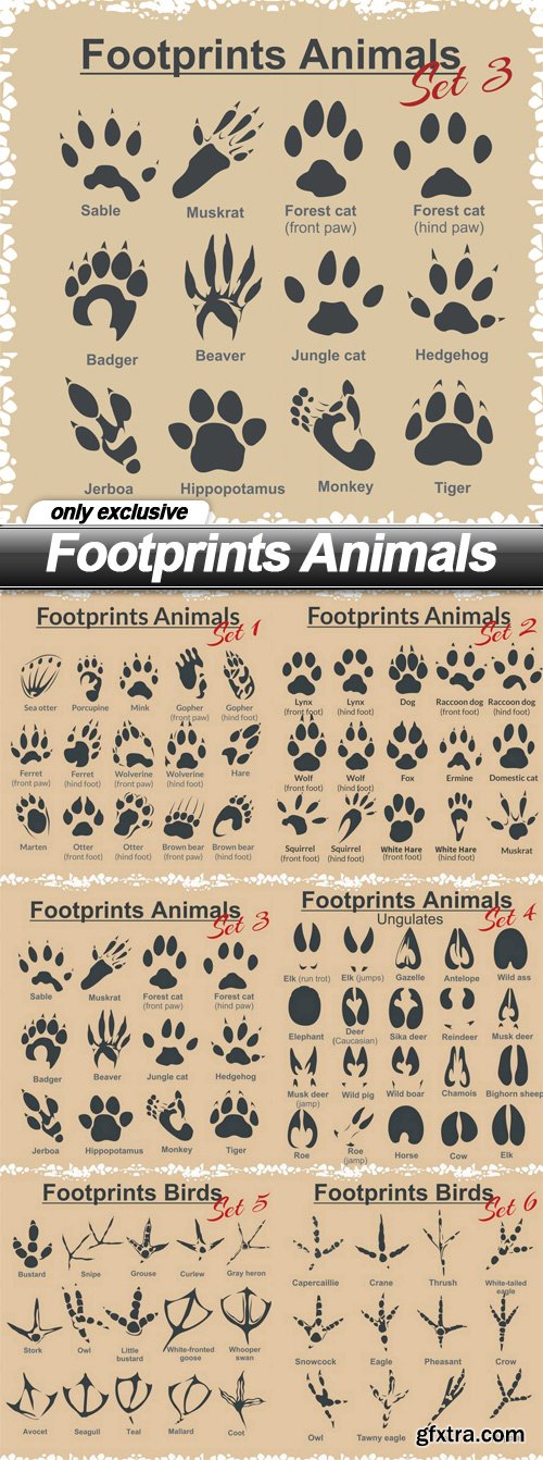 Footprints Animals - 6 EPS