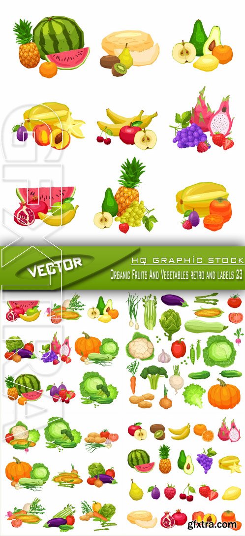 Stock Vector - Organic Fruits And Vegetables retro and labels 23