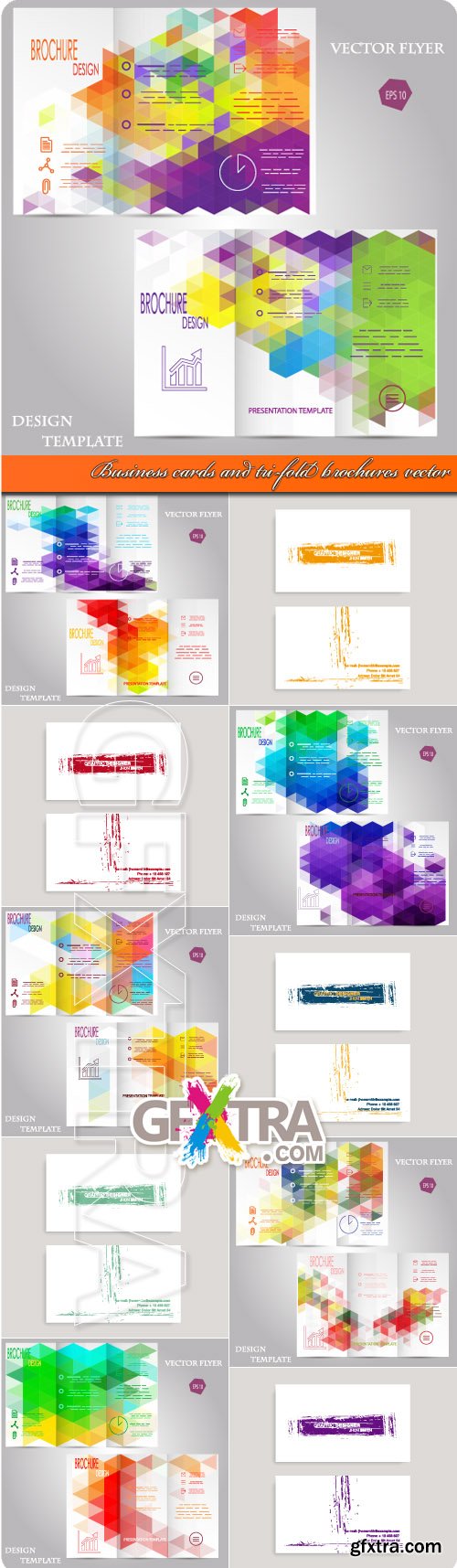 Business cards and tri-fold brochures vector