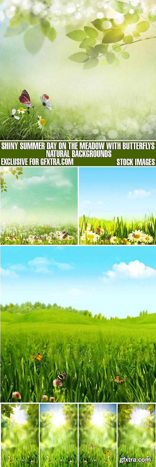 Stock Photos - Shiny Summer Day On The Meadow With Butterflys, Natural Backgrounds