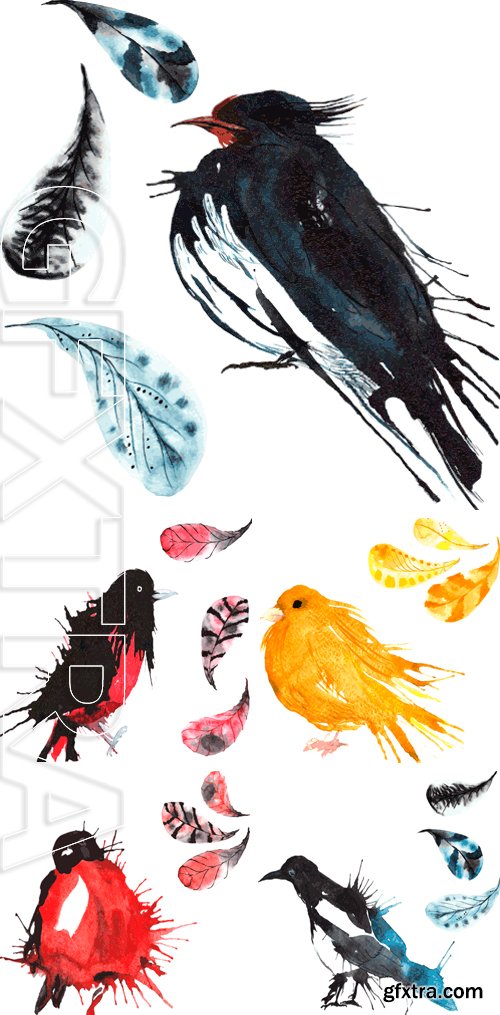 Stock Vectors - Set - watercolor bird , hand-drawn sketch of the technique , and feathers