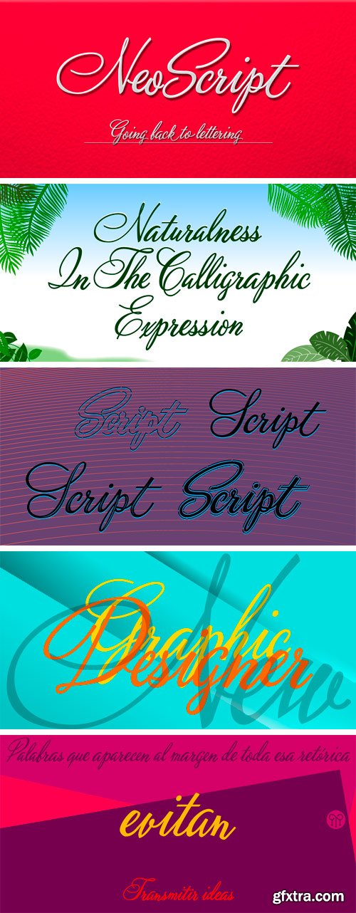 Neoscript Pro Font Family