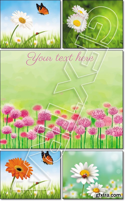 Nature summer daisy flowers with butterfly - Vector