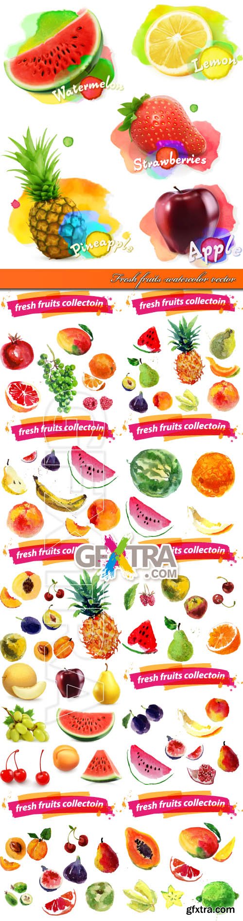 Fresh fruits watercolor vector