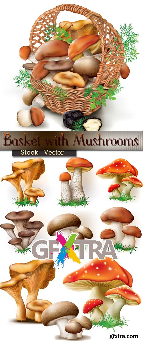 Basket with mushrooms in Vector