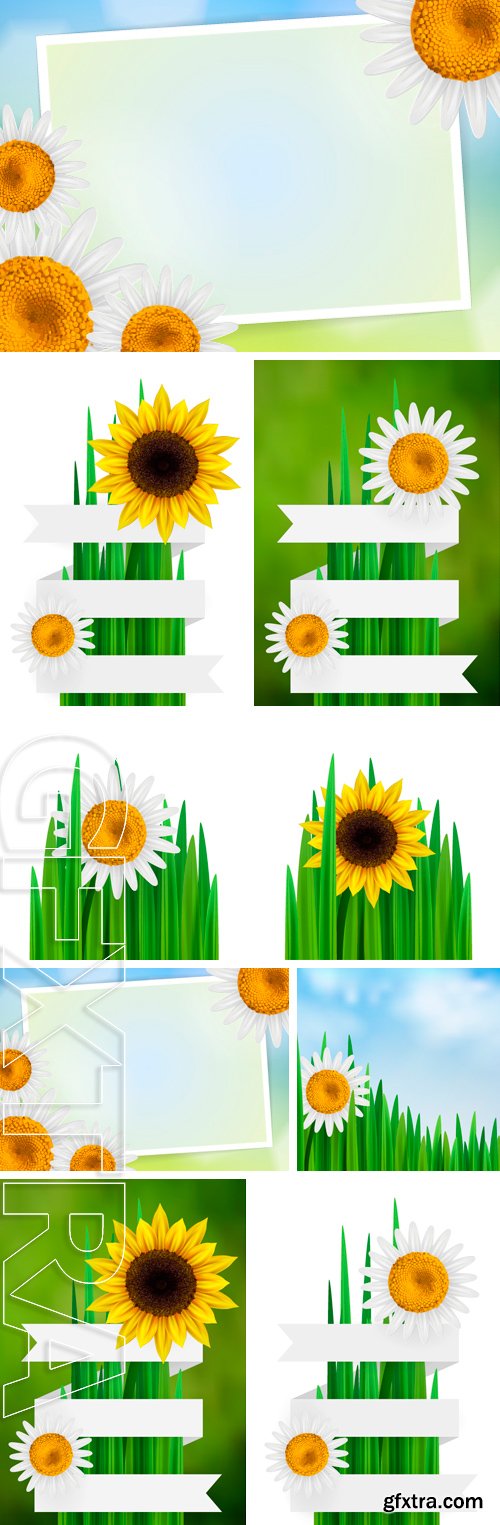 Stock Vectors - Flower background with ribbon, daisy and sunflower, isolated with empty space for text