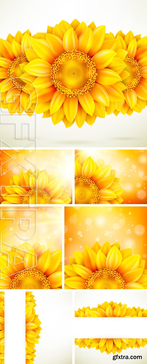 Stock Vectors - Macro SunFlower Background with bokeh. vector file included