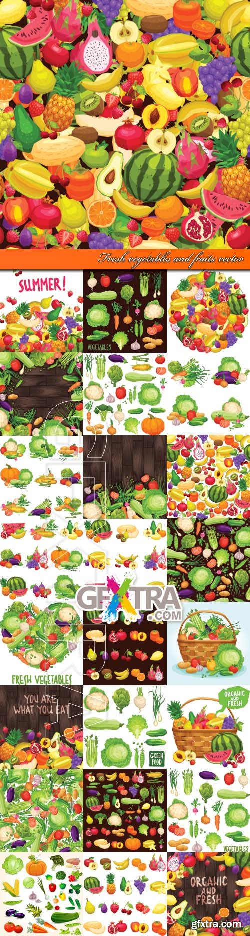 Fresh vegetables and fruits vector