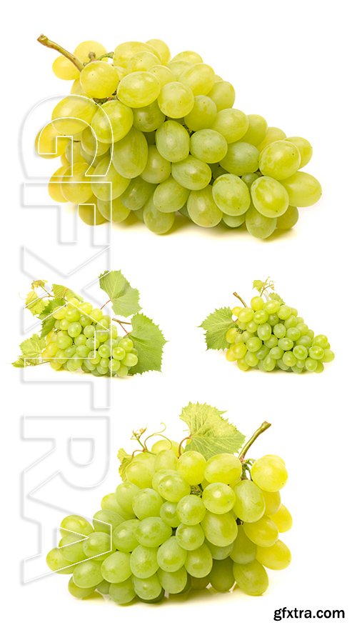 Stock Photos - White grape on white background