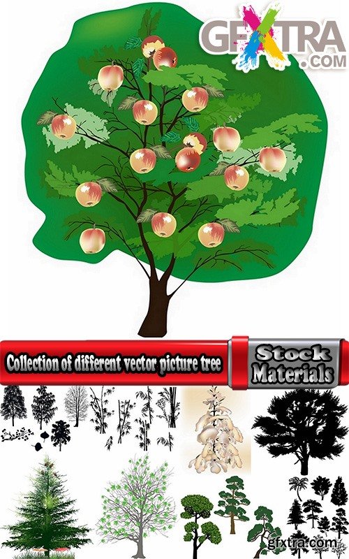 Collection of different vector picture tree root silhouette spruce bamboo 25 Eps