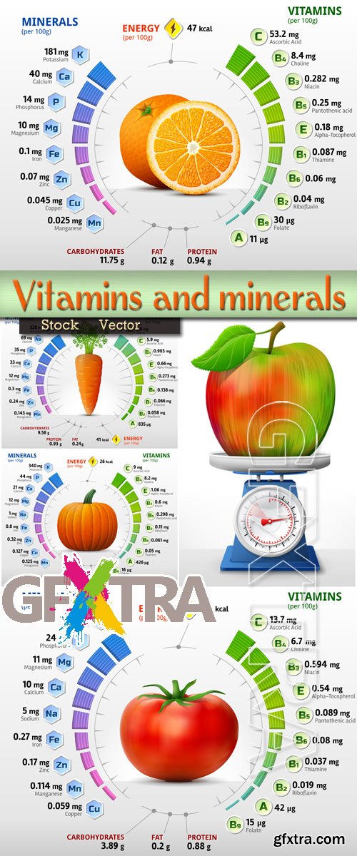 Infographics - Vitamins and Minerals