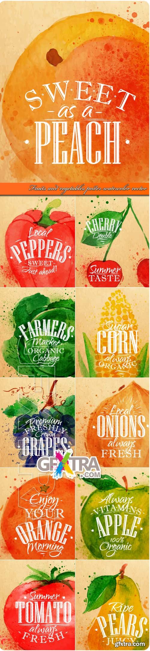 Fruits & Vegetables Poster Watercolor Vector 11xEPS