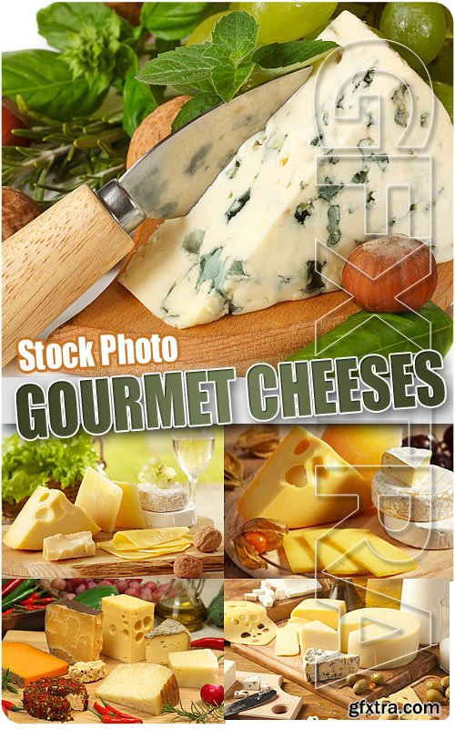 Gourmet cheeses - UHQ Stock Photo