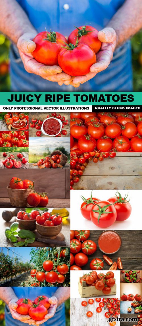 Juicy Ripe Tomatoes - 20 HQ Images