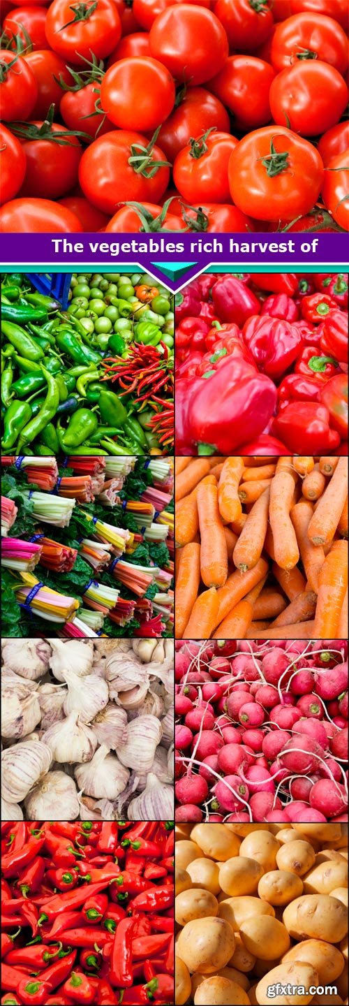 The vegetables rich harvest of 9x JPEG