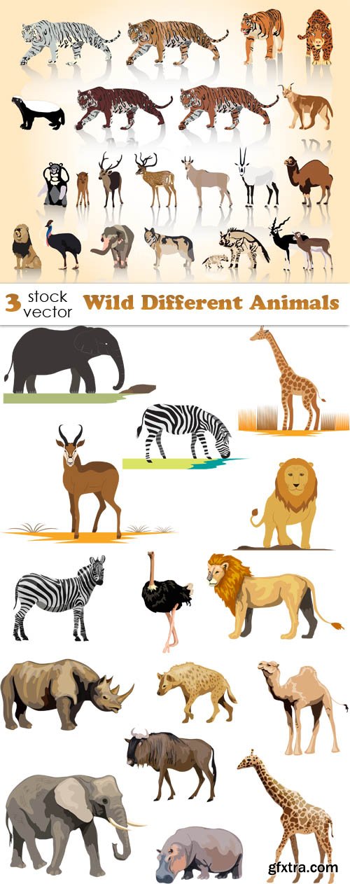 Vectors - Wild Different Animals